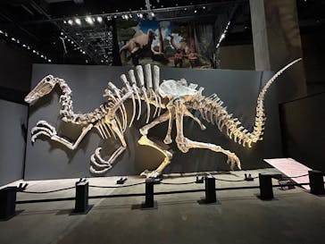 福井県立恐竜博物館に投稿された画像（2025/7/27）