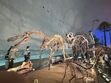 福井県立恐竜博物館に投稿された画像（2025/7/27）