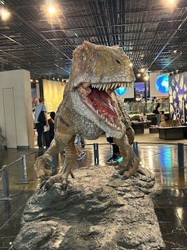 福井県立恐竜博物館に投稿された画像（2025/7/27）