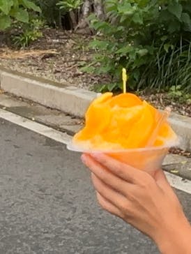 とおしめマリンリゾートに投稿された画像（2025/7/27）