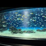 サンシャイン水族館に投稿された画像（2025/7/27）