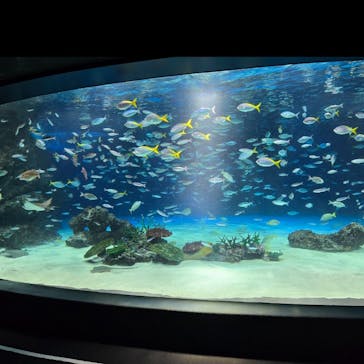 サンシャイン水族館に投稿された画像（2025/7/27）