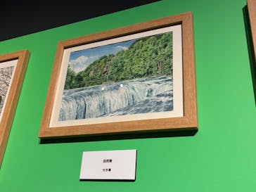 プレバト才能アリ展に投稿された画像（2025/7/26）