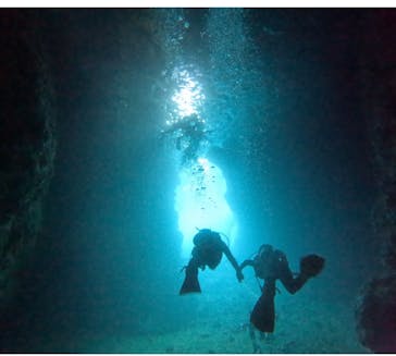 武藤潜水に投稿された画像（2025/7/27）