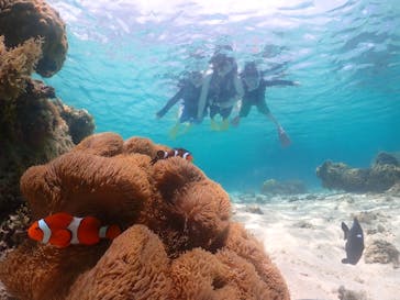 元気玉に投稿された画像（2025/7/27）