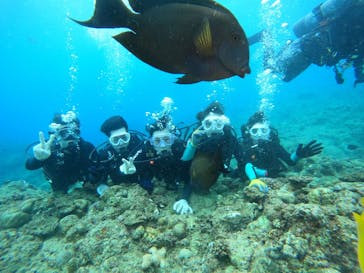 武藤潜水に投稿された画像（2025/7/27）