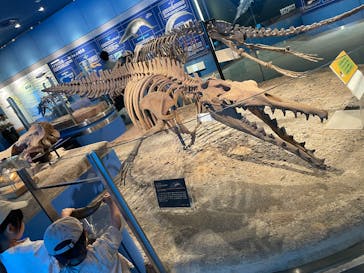 名古屋港水族館に投稿された画像（2025/7/27）