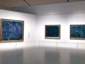 モネ 睡蓮のとき（豊田会場）に投稿された画像（2025/7/27）