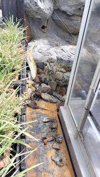 大分マリーンパレス水族館 「うみたまご」に投稿された画像（2025/7/27）