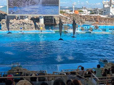 名古屋港水族館に投稿された画像（2025/7/27）