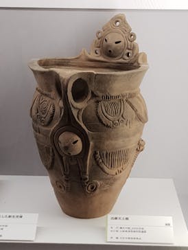 特別展「古代ＤＮＡ－日本人のきた道－」に投稿された画像（2025/7/27）