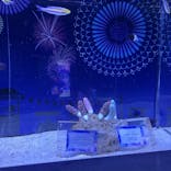 マクセル アクアパーク品川に投稿された画像（2025/7/27）