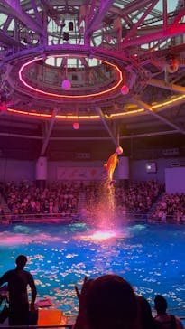 マクセル アクアパーク品川に投稿された画像（2025/7/27）