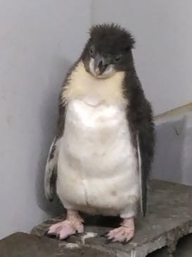 AOAO SAPPOROに投稿された画像（2025/7/27）