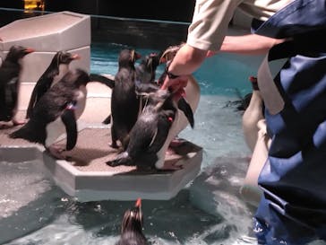 AOAO SAPPOROに投稿された画像（2025/7/27）