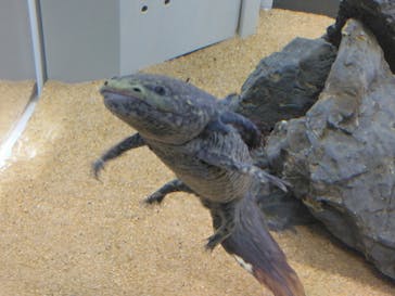 AOAO SAPPOROに投稿された画像（2025/7/27）