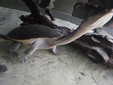 AOAO SAPPOROに投稿された画像（2025/7/27）