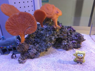 AOAO SAPPOROに投稿された画像（2025/7/27）