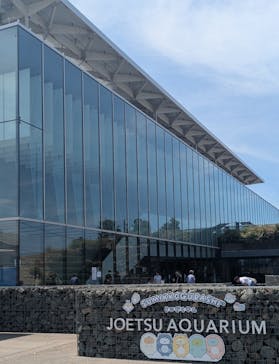 上越市立水族博物館 うみがたりに投稿された画像（2025/7/27）