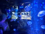 京都水族館に投稿された画像（2025/7/27）