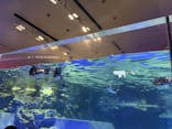 すみだ水族館に投稿された画像（2025/7/27）