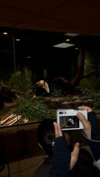 恩賜上野動物園に投稿された画像（2025/7/27）