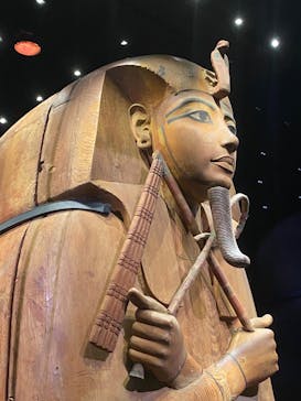 ACN ラムセス大王展 ファラオたちの黄金に投稿された画像（2025/7/27）