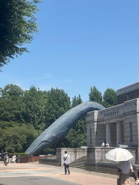 国立科学博物館に投稿された画像（2025/7/27）