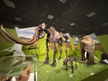特別展「氷河期展 〜人類が見た4万年前の世界〜」（国立科学博物館）に投稿された画像（2025/7/27）