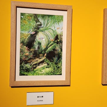 プレバト才能アリ展に投稿された画像（2025/7/27）