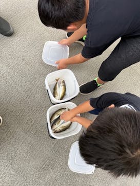 環境水族館アクアマリンふくしまに投稿された画像（2025/7/27）