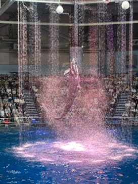 マクセル アクアパーク品川に投稿された画像（2025/7/27）