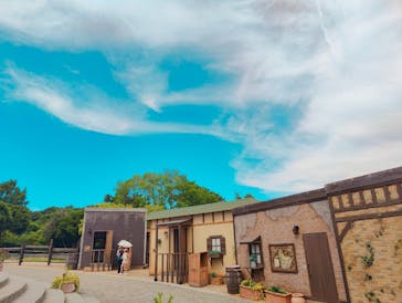 ニジゲンノモリに投稿された画像（2025/7/27）