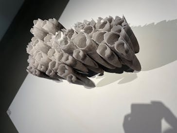 金沢21世紀美術館に投稿された画像（2025/7/27）