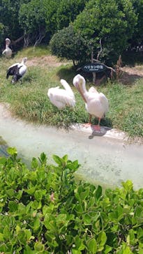 鴨川シーワールドに投稿された画像（2025/7/27）