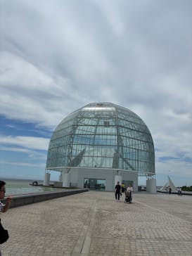 葛西臨海水族園に投稿された画像（2025/7/27）