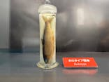 滋賀県立琵琶湖博物館に投稿された画像（2025/7/27）