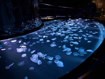 すみだ水族館に投稿された画像（2025/7/27）