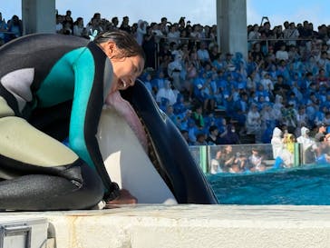 鴨川シーワールドに投稿された画像（2025/7/27）