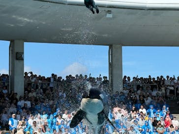 鴨川シーワールドに投稿された画像（2025/7/27）
