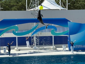 鴨川シーワールドに投稿された画像（2025/7/27）