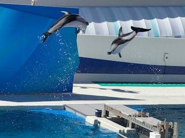 鴨川シーワールドに投稿された画像（2025/7/27）