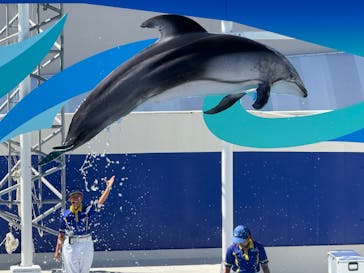 鴨川シーワールドに投稿された画像（2025/7/27）