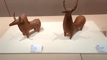 世界探検の旅—美と驚異の遺産—に投稿された画像（2025/7/27）