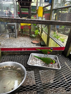 OKINAWAフルーツらんどに投稿された画像（2025/7/27）