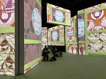 クリムト・アライブに投稿された画像（2025/7/27）