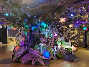 NARA IKIMONO MUSEUMに投稿された画像（2025/7/27）