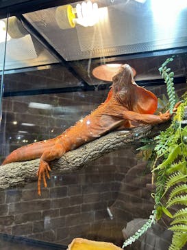 NARA IKIMONO MUSEUMに投稿された画像（2025/7/27）