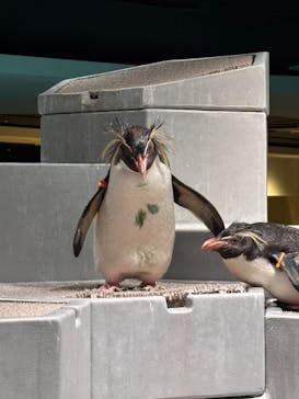 AOAO SAPPOROに投稿された画像（2025/7/27）