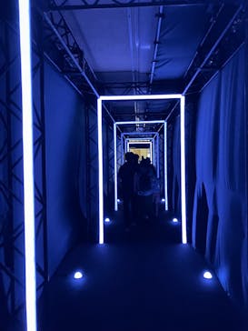 イマーシブシアター新ジャポニズム（東京国立博物館　本館 特別５室）に投稿された画像（2025/7/27）